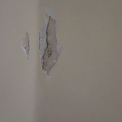 קיר עם קילופי צבע ותיקונים נדרשים