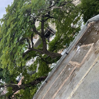 גג עם שלולית מים וצינור בולט