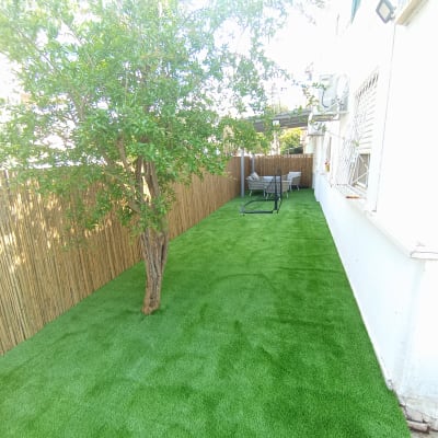 עץ על דשא מלאכותי ליד גדר במבוק