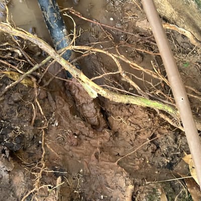 צינור שחור עם חיבור במים ובוץ