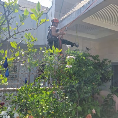 אדם עם ציוד בטיחות על גג, כנראה להרחקת יונים