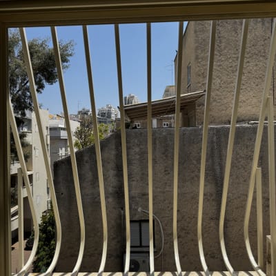 סורגים על חלון עם נוף לבניינים ועצים