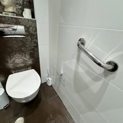 שירותים עם ידית אחיזה ומברשת ניקוי