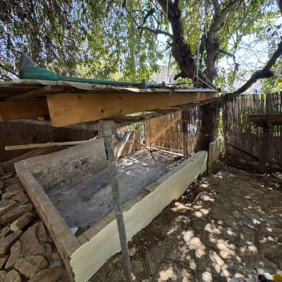 כלי עבודה על שולחן עץ בחוץ ליד עץ