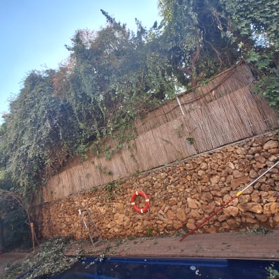 קיר אבן עם צמחייה, סולם וכלי גינון