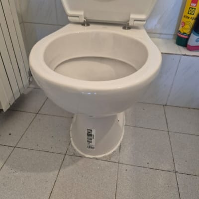 אסלה לבנה עם חומרי ניקוי ליד