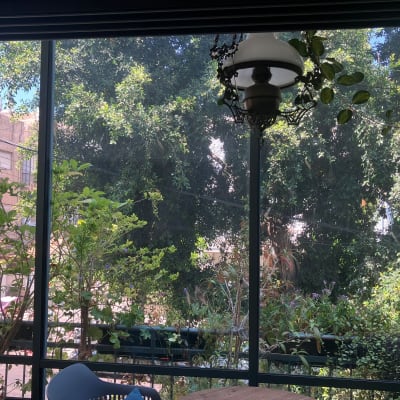 חלון זכוכית עם נוף עצים מבחוץ