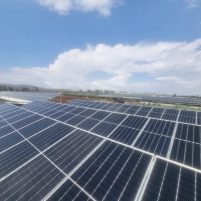 פאנלים סולאריים מותקנים בשדה תחת שמיים בהירים