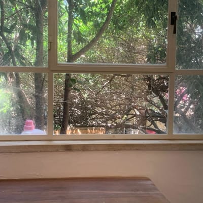 חלון זכוכית עם נוף עצים בחוץ