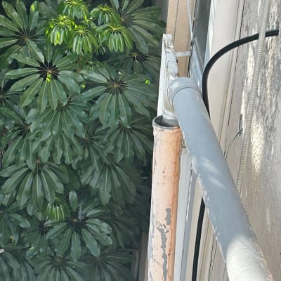 צינור חלוד ליד קיר עם צמחייה ירוקה