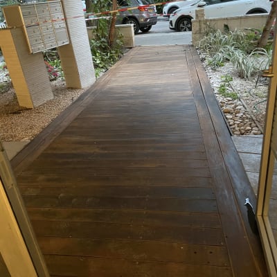 שביל עץ בגינה עם צמחייה מסביב