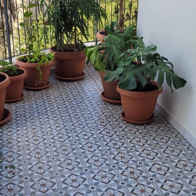 עציצים עם צמחים על מרפסת מרוצפת