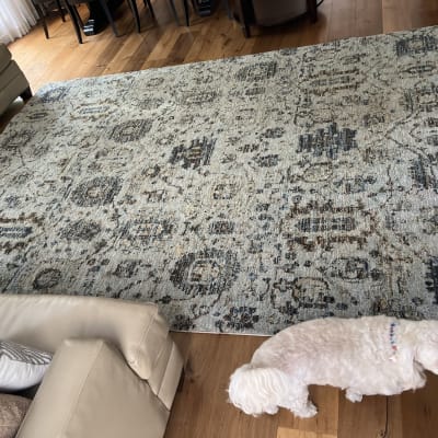 תמונה אינה מציגה עבודה בתחום