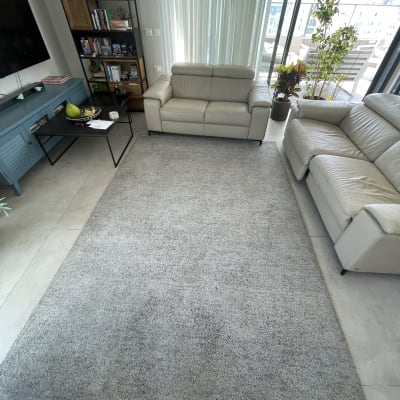 ספות עור בהירות בסלון עם שטיח אפור