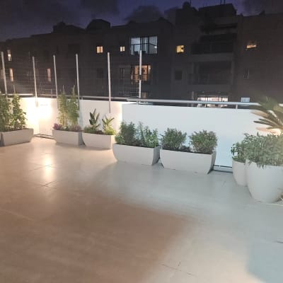 עציצים עם צמחים על מרפסת בלילה