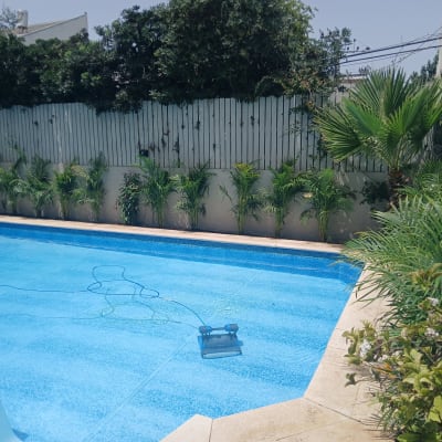 בריכה מוקפת בצמחייה ירוקה וגדר עץ