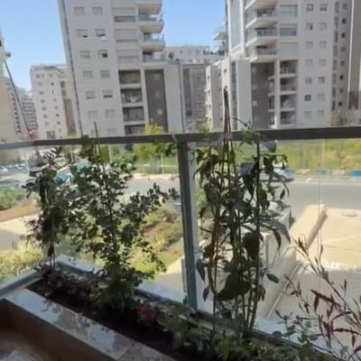 צמחים במרפסת עם נוף לבניינים גבוהים
