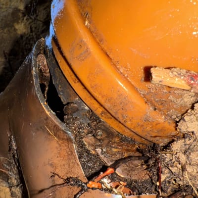 צינור שבור עם שורשים וקרקע