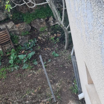 קיר חיצוני עם עץ וגינה קטנה