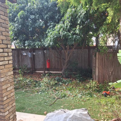 גינה עם עלים גזומים וכלי גינון על הדשא