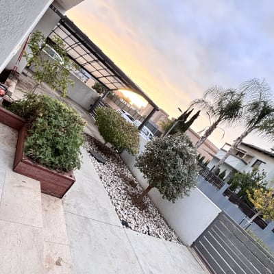 גינה עם עצים ושיחים ליד שביל מרוצף