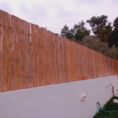 גדר במבוק עם סולם צהוב וצינור ירוק