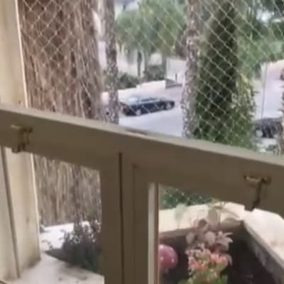 רשת על חלון למניעת כניסת יונים