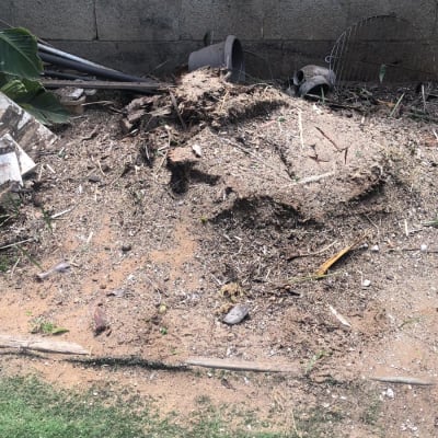 ערימת גזם ליד קיר בטון עם כלי גינון