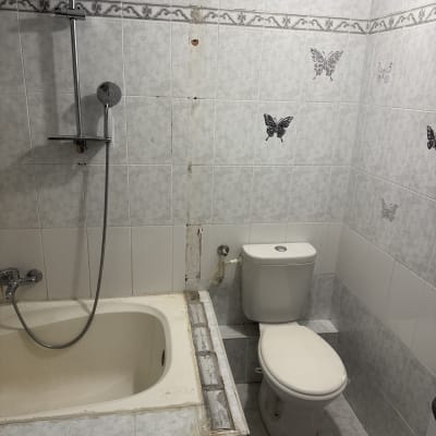 חדר אמבטיה עם אמבטיה, שירותים ואריחים מעוטרים בפרפרים