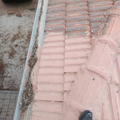 תמונה של גג רעפים עם נעל על הגג