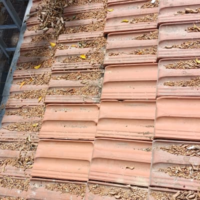 רעפים על גג עם עלים יבשים ולכלוך