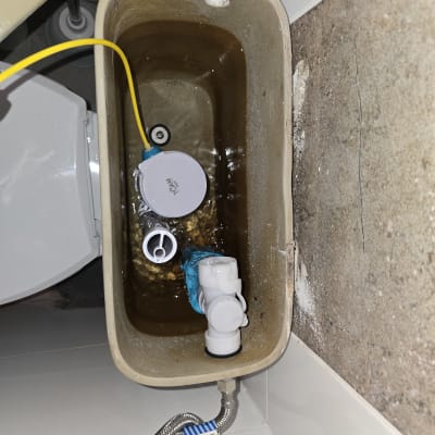 מיכל שירותים פתוח עם צינור צהוב ומנגנון פלסטיק