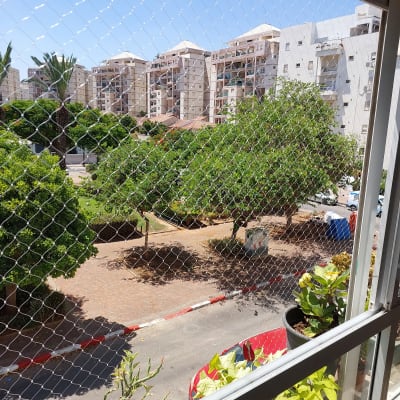 רשת יונים על חלון עם עציצים ברקע בניינים