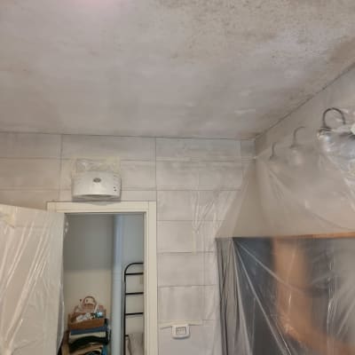 חדר מכוסה בניילון כהכנה לצביעה