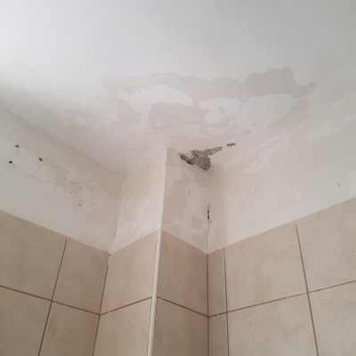 תקרה עם קילופי צבע ונזקי רטיבות