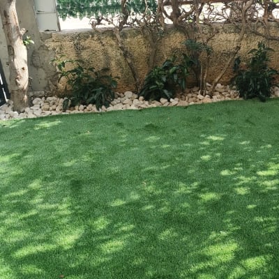 דשא ירוק, שיחים ואבנים בגינה