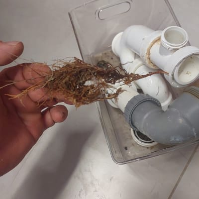 שורשים ביד ליד צינורות פלסטיק לבנים