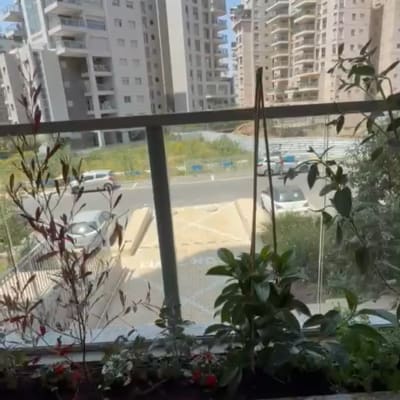 עציצים ופרחים במרפסת עם נוף לבניינים