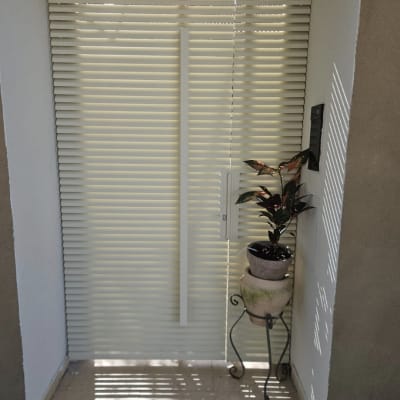 דלת עם תריסים וצמח בעציץ בכניסה לבית