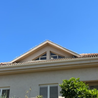 דוקרנים על גג למניעת נחיתת יונים