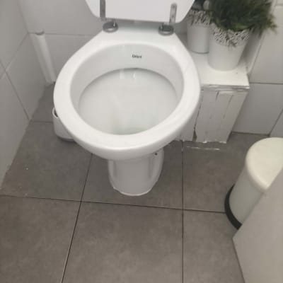 אסלה לבנה בחדר שירותים עם עציצים