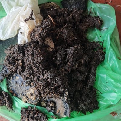 שקית עם אדמה ופסולת על רצפה