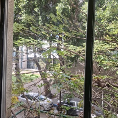 חלון עם נוף של עצים ומכוניות בחוץ