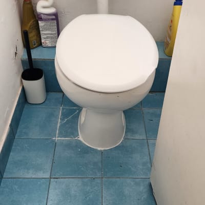 אסלה עם מברשת ניקוי וכלי ניקוי בצדדים