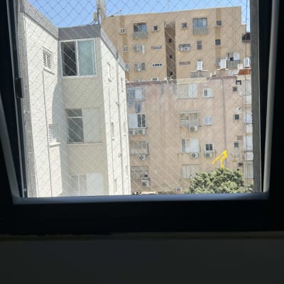 רשת על חלון למניעת כניסת יונים