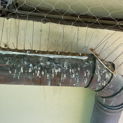 דוקרנים על צינור למניעת קינון יונים