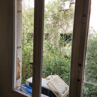 חלון זכוכית עם נוף של צמחייה בחוץ