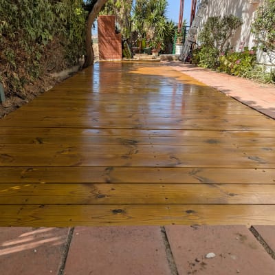 שביל עץ בגינה עם עצים וצמחים מסביב