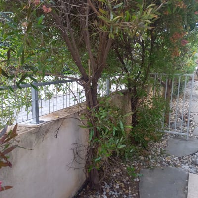 גדר מתכת עם שער ליד שביל אבנים