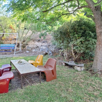 כלי גינון ליד עץ, צינור השקיה על הקרקע